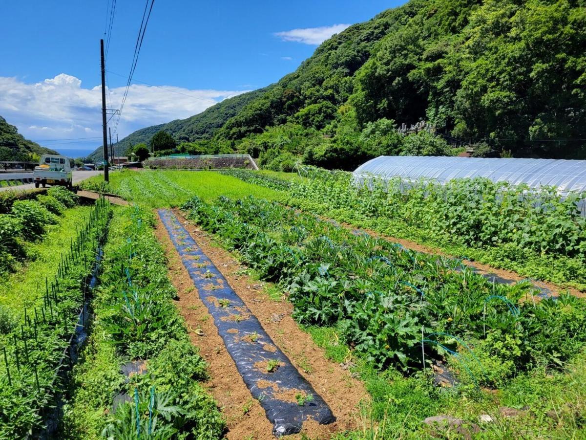 AWA Nishi-Izu Hotel Numazu Eksteriør billede